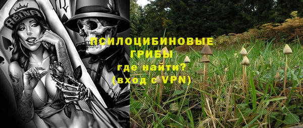 молекула духа Зеленокумск