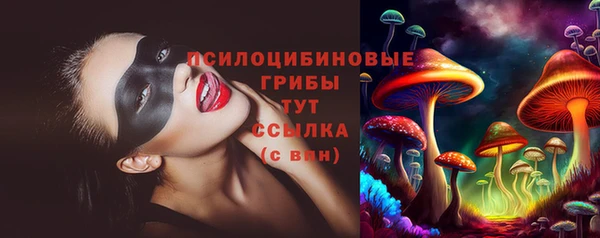 твердый Зерноград