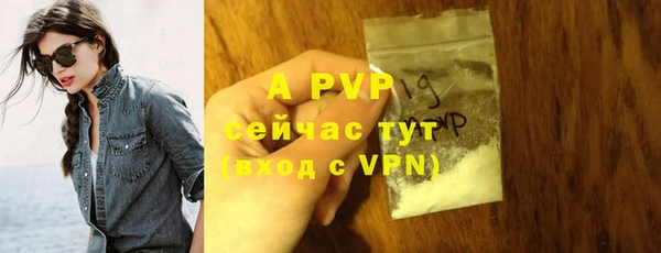 твердый Зерноград