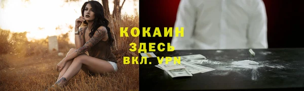 молекула духа Зеленокумск