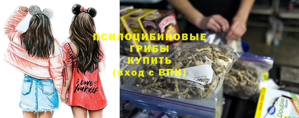 молекула духа Зеленокумск