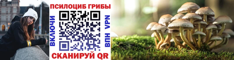 Псилоцибиновые грибы прущие грибы  Купить где  Дмитров 