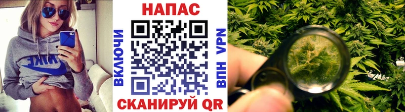Бошки Шишки VHQ  Купить закладки  Дмитров 